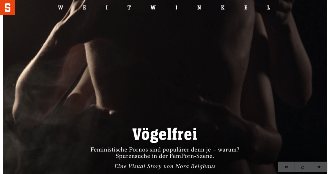 Scrollytelling Visual Story über feministische Pornografie